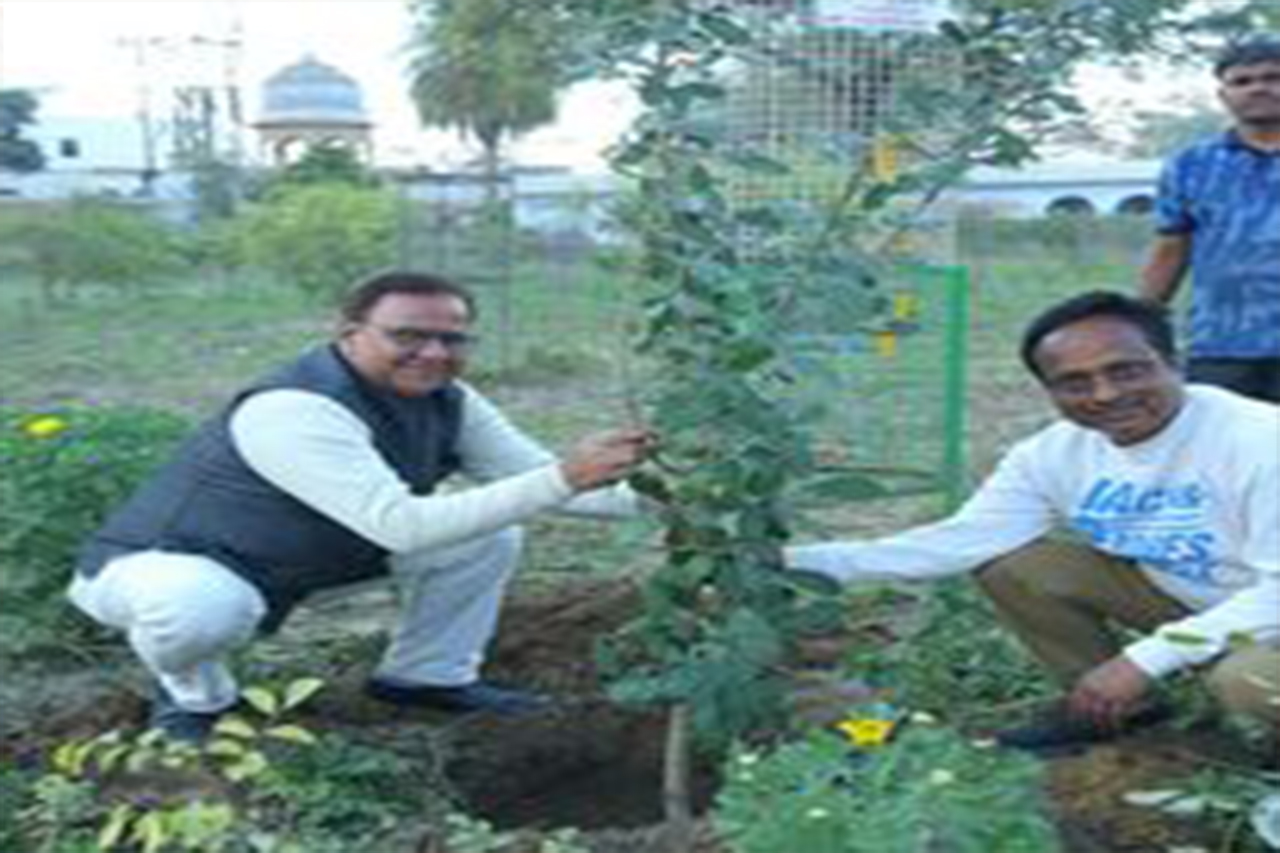 Tree Planting Campaign
