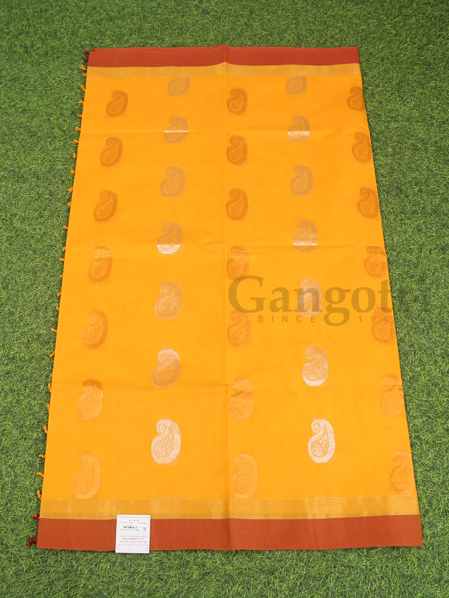 South Indian Cotton Saree - Image 3
