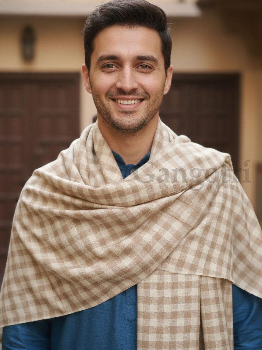 Shawl M 1860 (2)