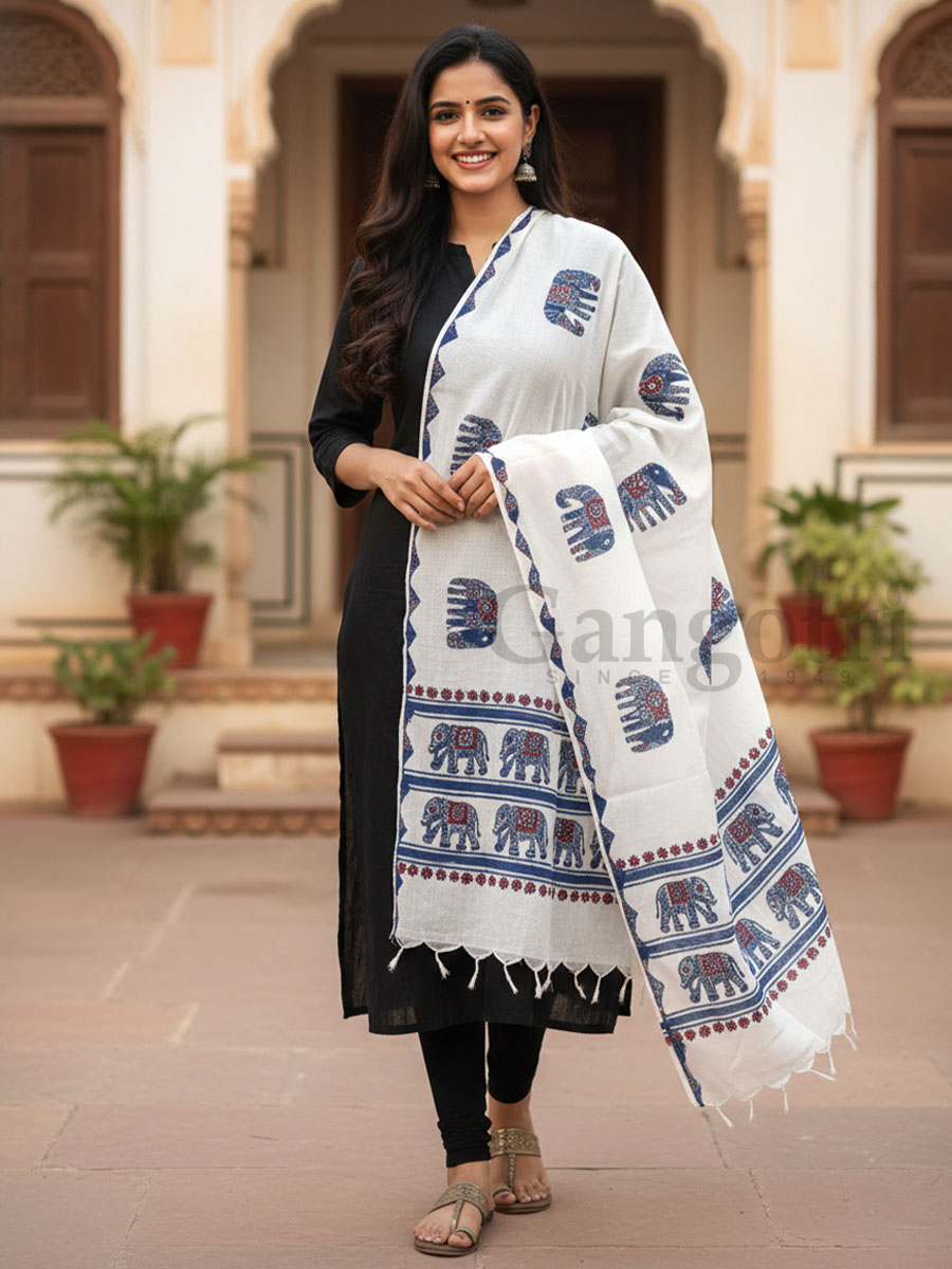 Dupatta Fancy
