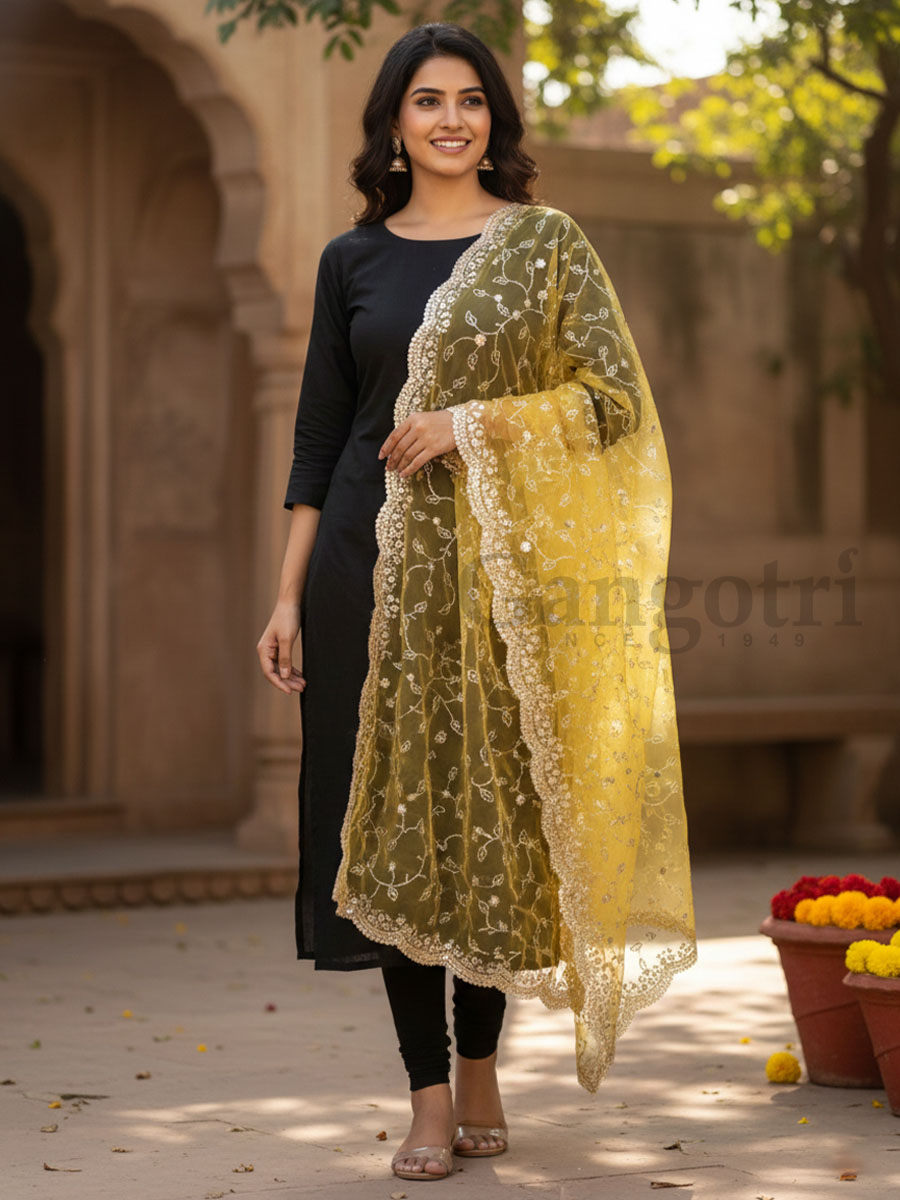 Dupatta Fancy