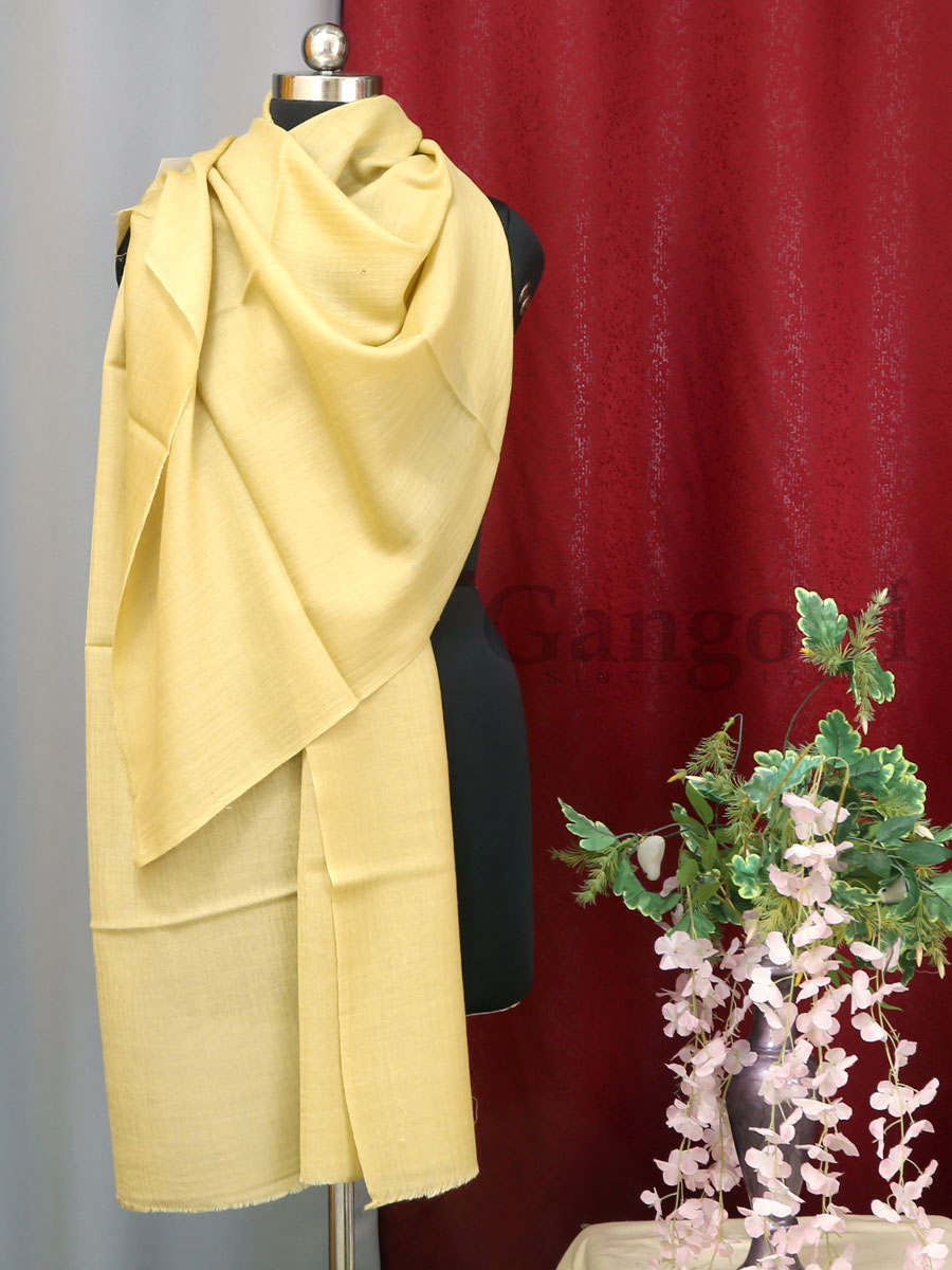 Women Cashmere Stole - Image 3