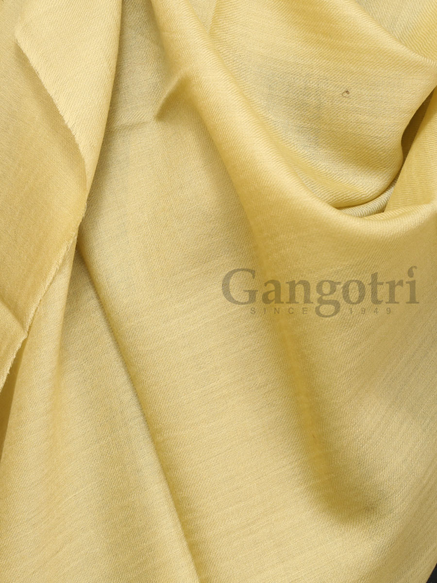 Women Cashmere Stole - Image 2