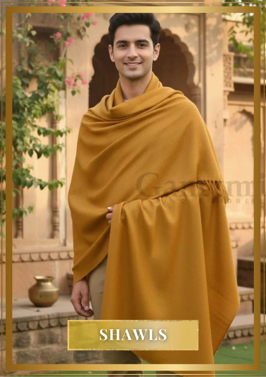 zzz Gangotri category images-12